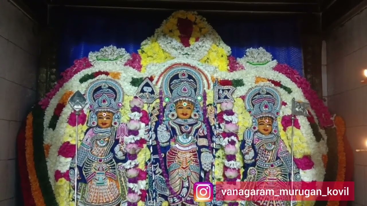 கந்தமாபுரம் ஸ்ரீ சுப்பிரமணிய சுவாமி திருக்கோவில் தை மாத க்ருத்திகை (27/01/2026)