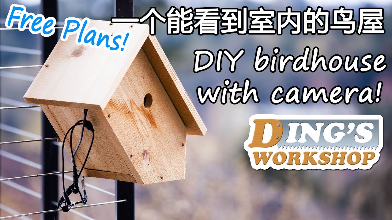 做一个能够看到室内的鸟屋 | DIY Birdhouse with Camera Inside!