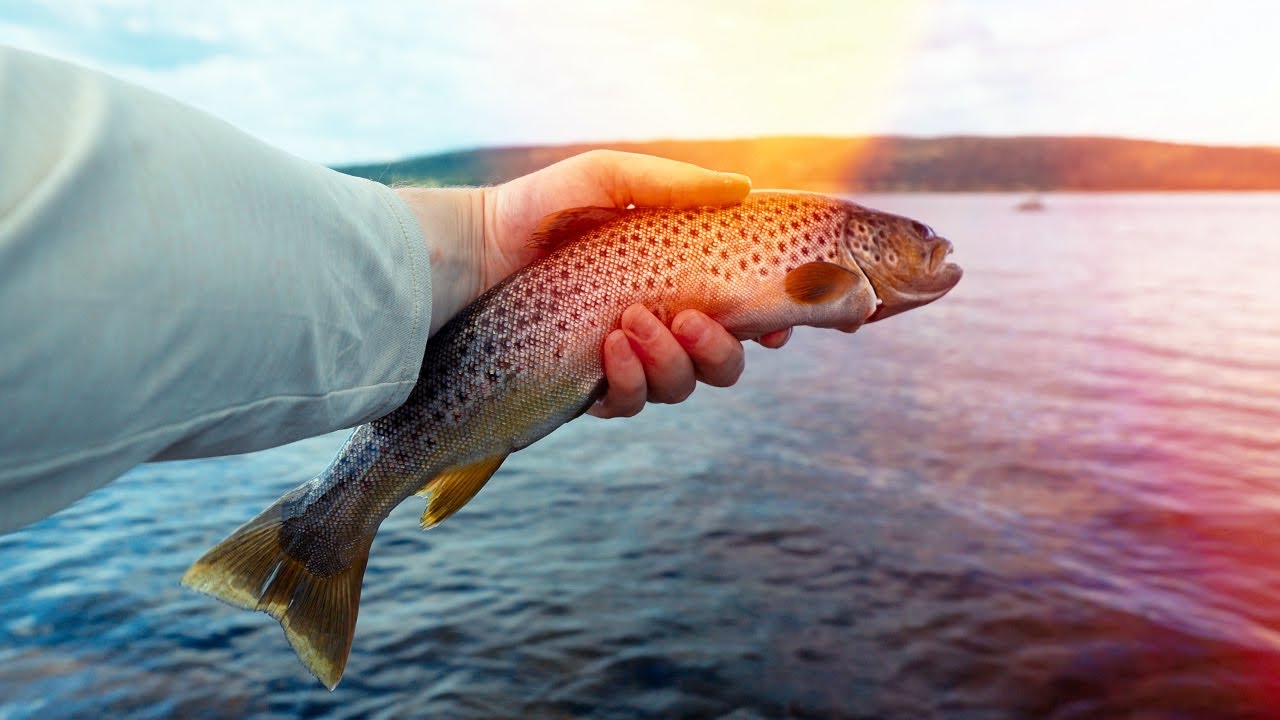 Trout Fishing in Norway & Scenic Outdoor Adventure