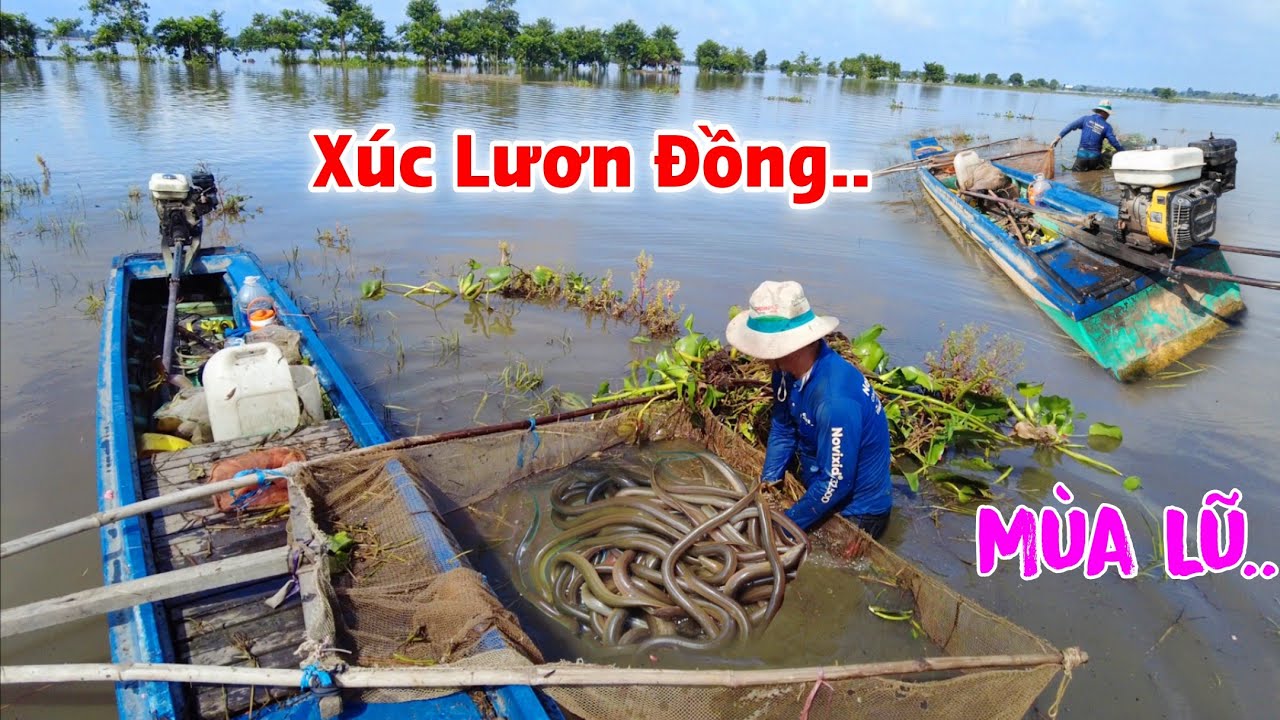 Lũ lên đột biến
