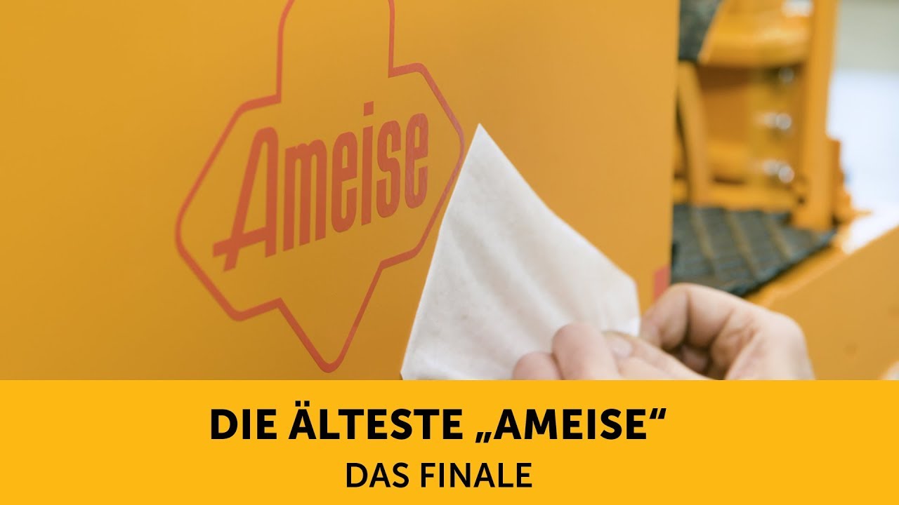 Die älteste Ameise (5) – Das Finale