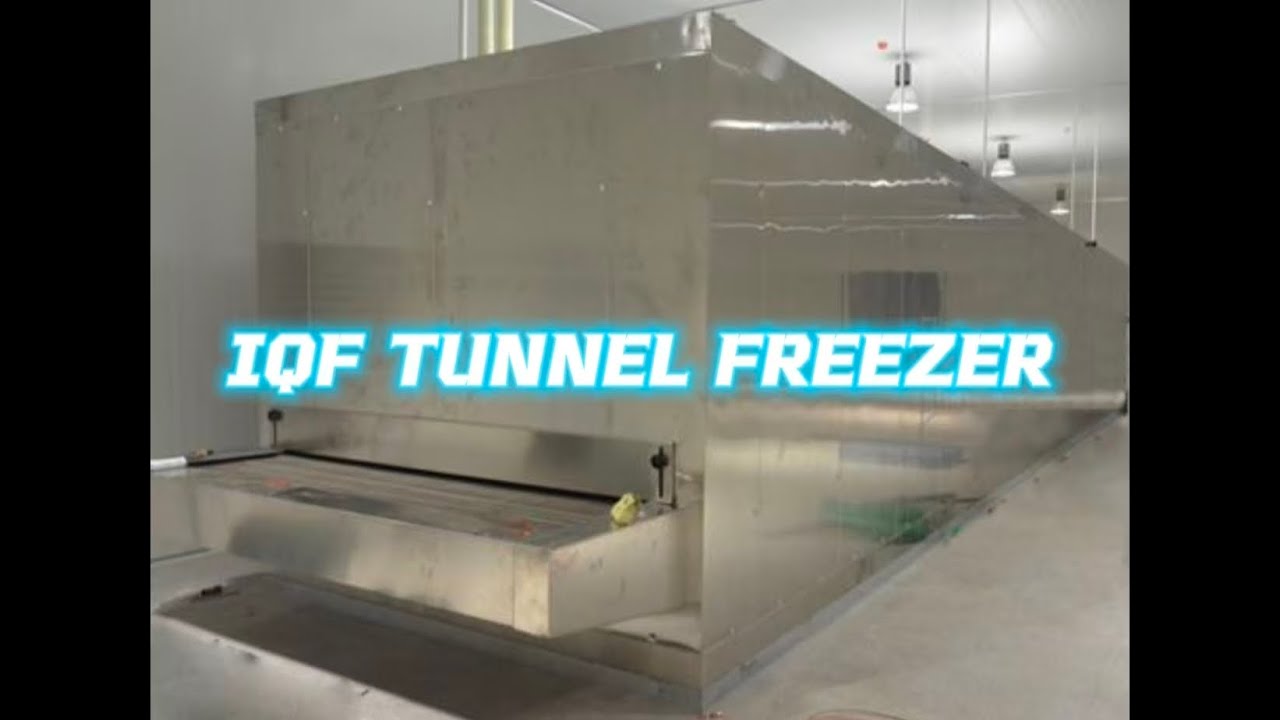 AXIAL BLAST IQF TUNNEL FREEZER