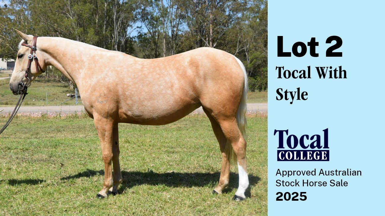 2025 Lot 2 Tocal With Style