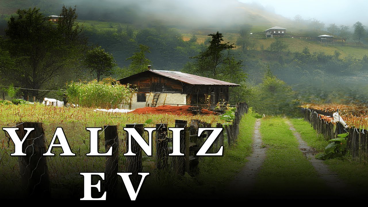 DAĞ EVİNDEKİ KALAN GENÇLERİN YAŞADIĞI OLAY | KORKU HİKAYELERİ | 232