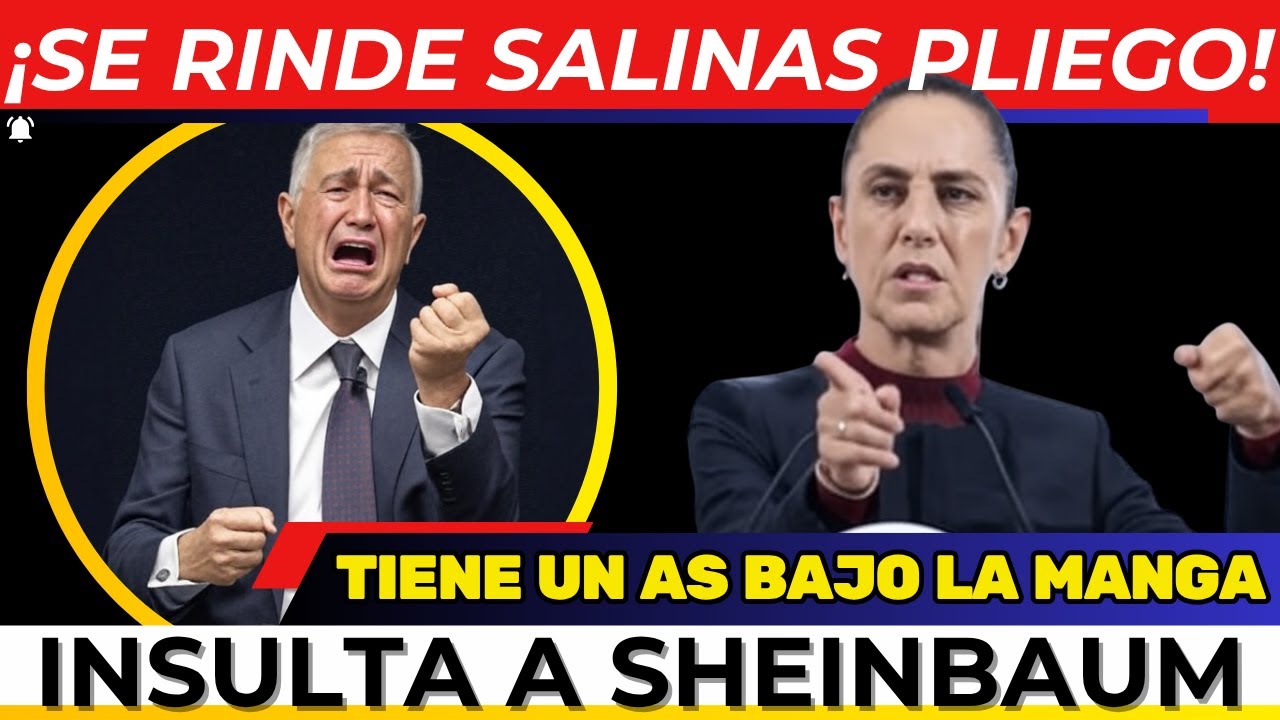 &iexcl;SE ACAB&Oacute;! Salinas Pliego SE RINDE. Si quiere PAGAR impuestos. Otro ENGA&Ntilde;O. Se BURLA de Sheinbaum