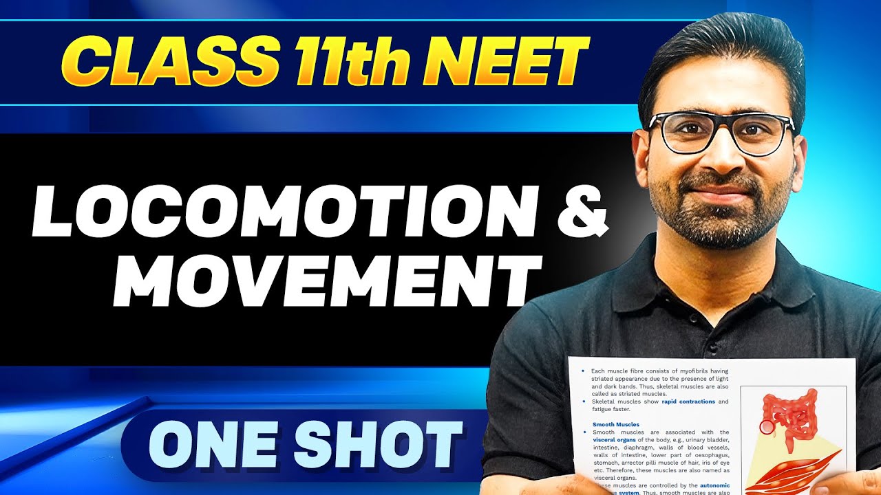 LOCOMOTION & MOVEMENT in ONE SHOT || All Concepts, Tricks & PYQ || Ummeed NEET