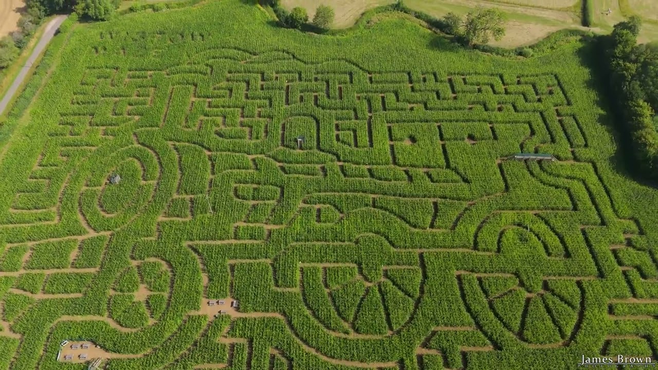 Wistow Maze, Leicestershire (25th July 2025)