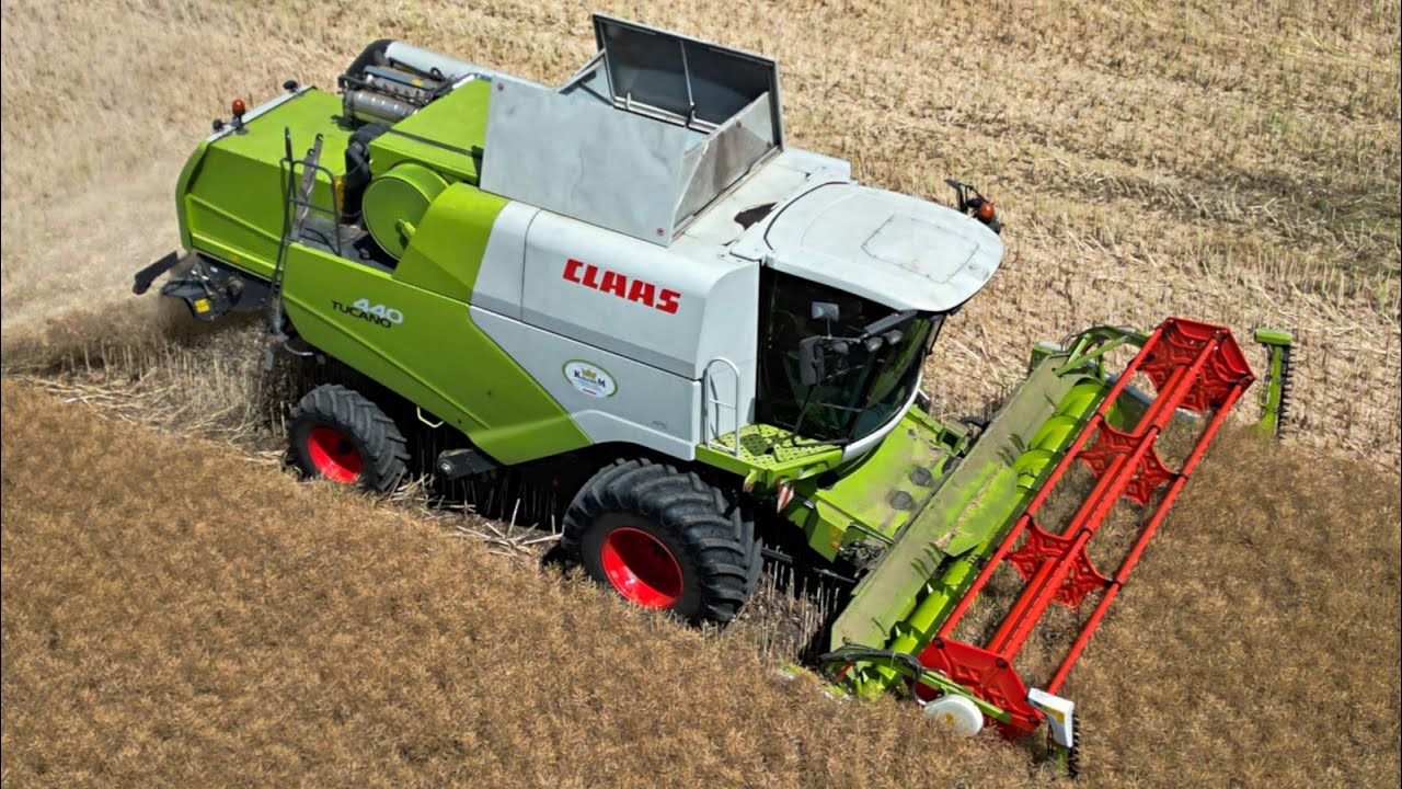 Żniwa 2023 w Gozdowie - Rzepak z Claas Tucano 440 , Ursus 1634