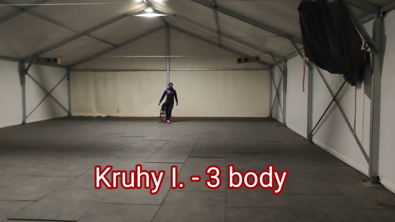 Dogdancingové zkoušky - HtM1 - VÝBORNĚ
