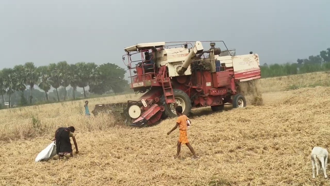 PREET 987 COMBINE HARVESTER DHAN CUTTING IN BIHAR SESSION DAY -1 #agriculture #farmer  