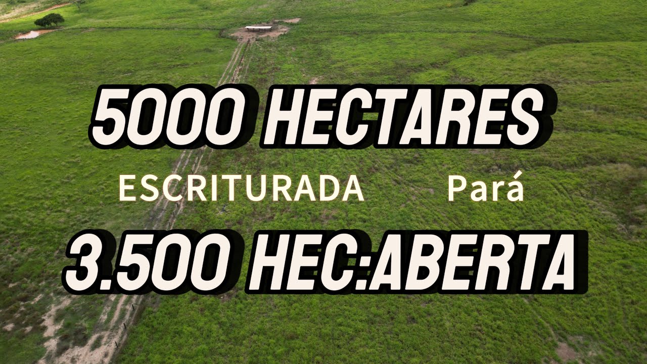 5 MIL HECTARES COM 3.500 DE PASTO DUPLA APTIDÃO! Em paragominas ￼😱😱😱😱😱