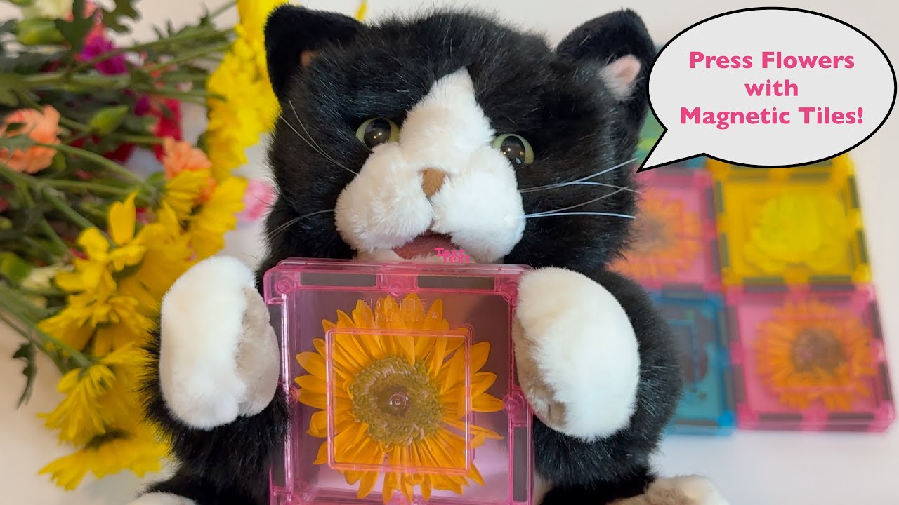Magnetic Tiles make PRESSED FLOWERS! Kitty Cat Craft Day! -Kitty Cat Kids for Christ