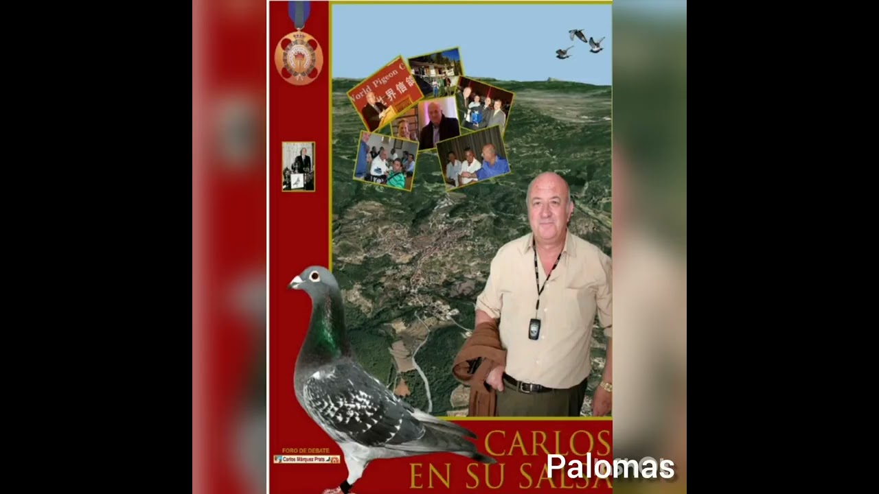 alimentación a la vuelta de un concurso del libro Carlos en su salsa