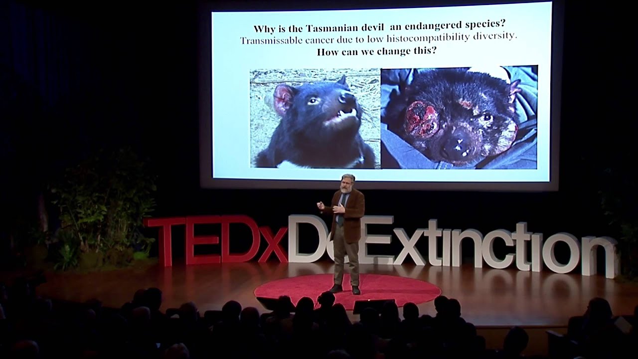Hybridizing with extinct species: George Church at TEDxDeExtinction