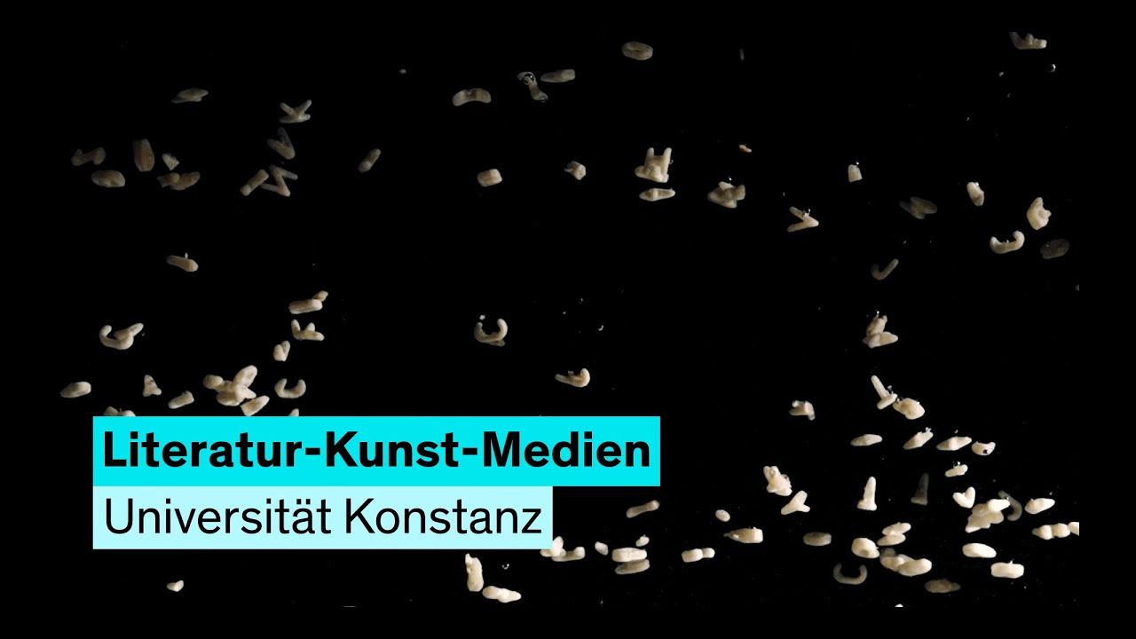 Literatur-, Kunst- und Medienwissenschaften - Interviewfilm 2025