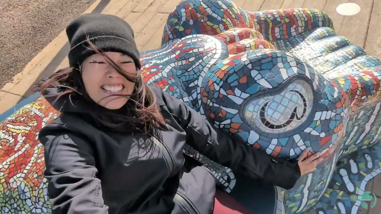 Cuttlefish Chaos: Roadtrippin' to Whyalla for Some Wild Mating Action!