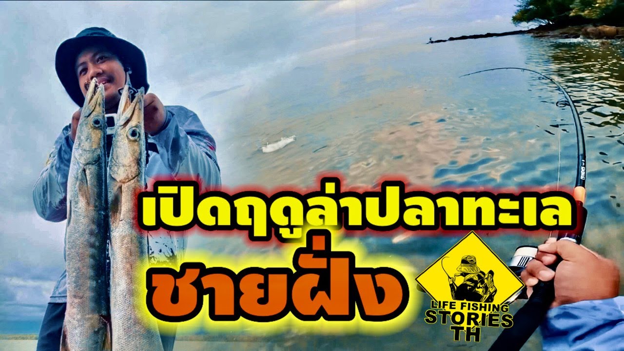 เปิดฤดูกาลล่าปลาทะเลชายฝั่ง กัดสะใจ [ LFST ตีเหยื่อปลอมชายฝั่ง 66]
