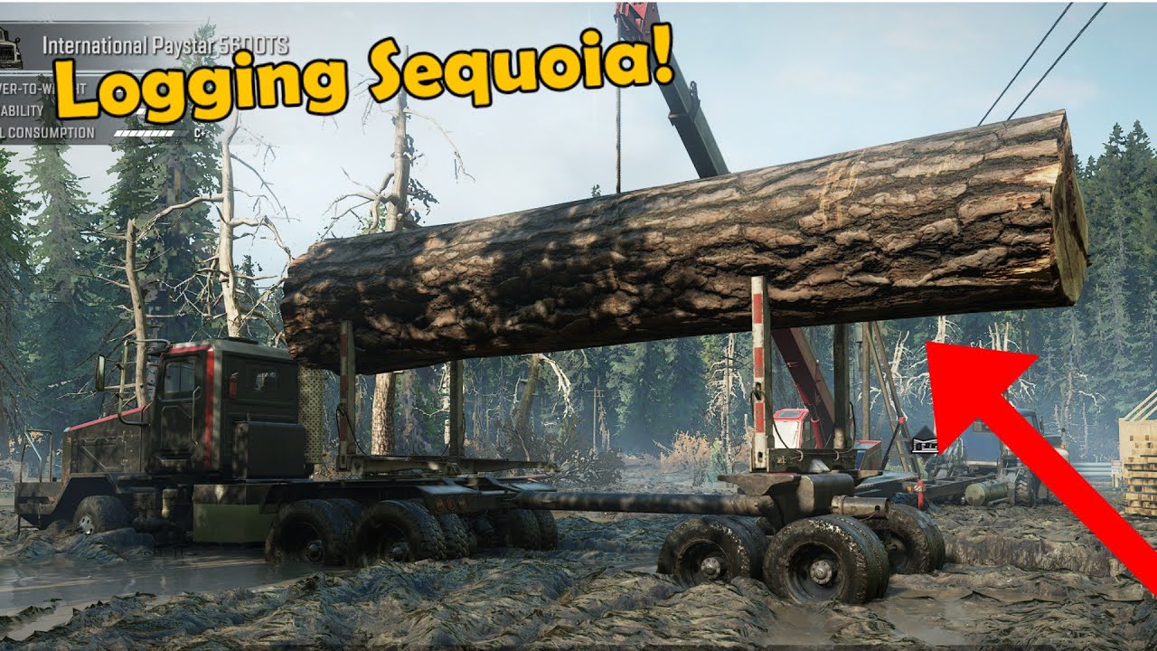 SnowRunner - Logging Sequoia Tree & New DLC Truck Gameplay! | Phase 3 Wisconsin update!