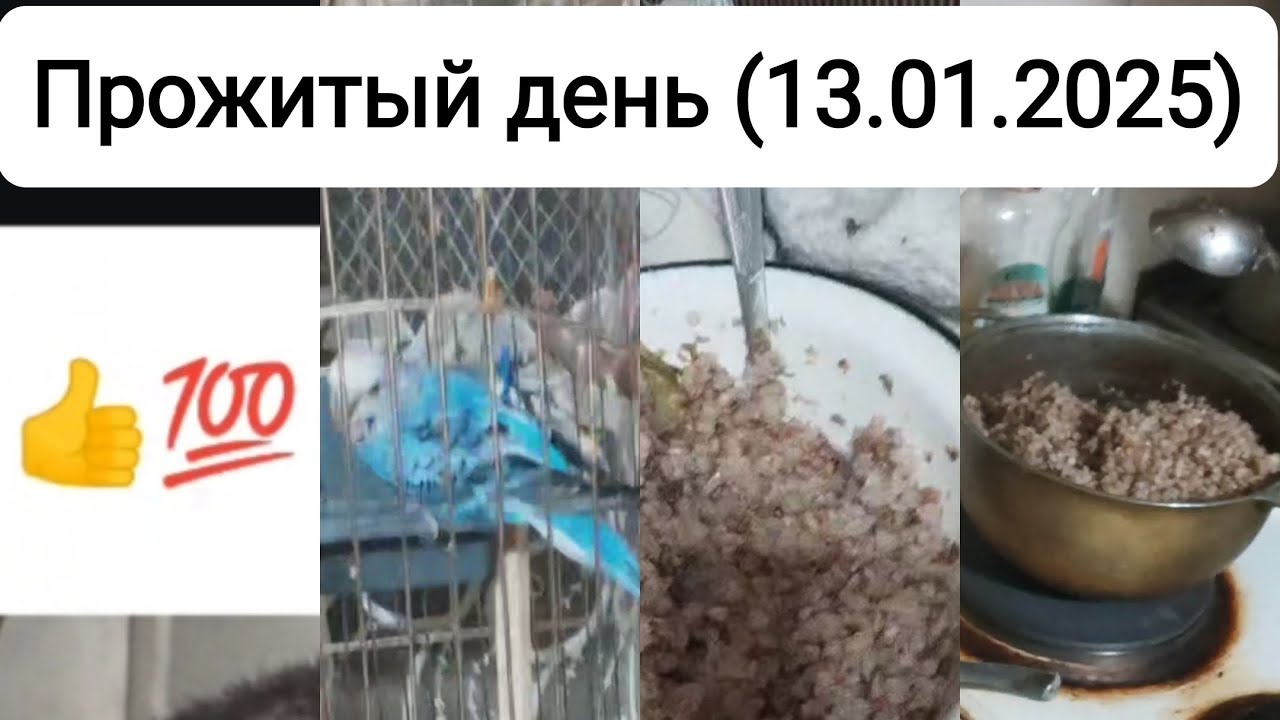 Прожитый день (13.01.2025): амбиции в футболе, поздравление с Днём рождения, гречка, гибель мудреца.