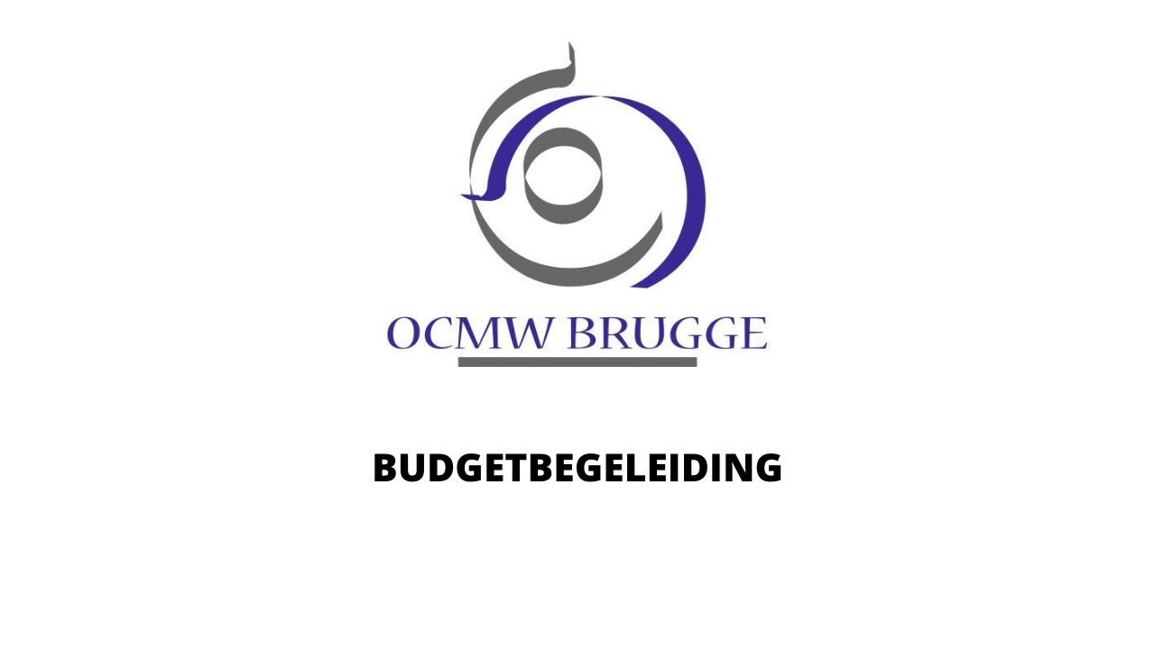 Budgetbegeleiding