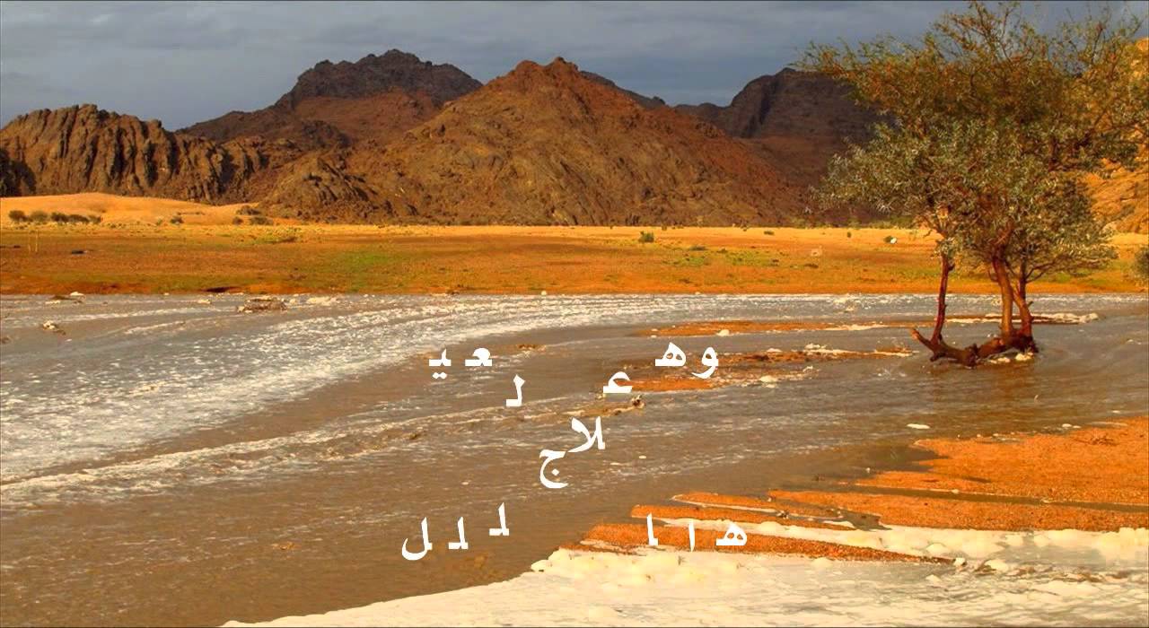 حايل عسى ضلعه يسيل