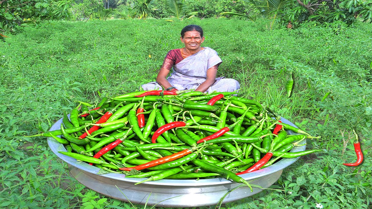 Chilly Thokku Recipe | Green Chilly Chutney Cooking in Village | Side Dish Recipes
