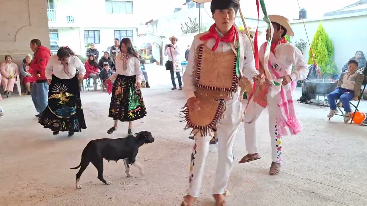 Danza de Arrieros San Francisco Xochicuautla, Lerma, Edomex