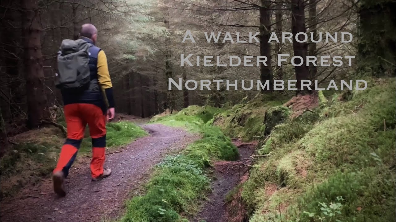 Kielder Forest, Northumberland