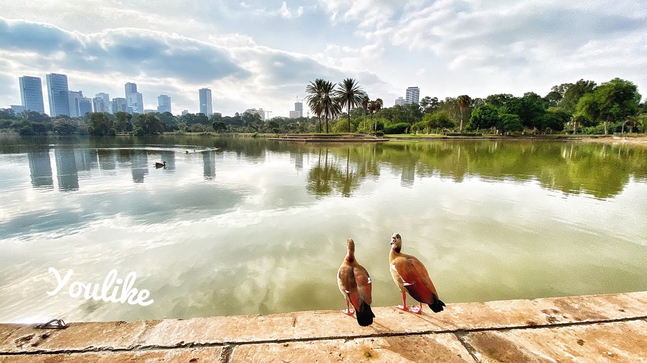 Walking Tour In Fabulous HaYarkon Park Tel Aviv Pure Happiness in Nature & Urban