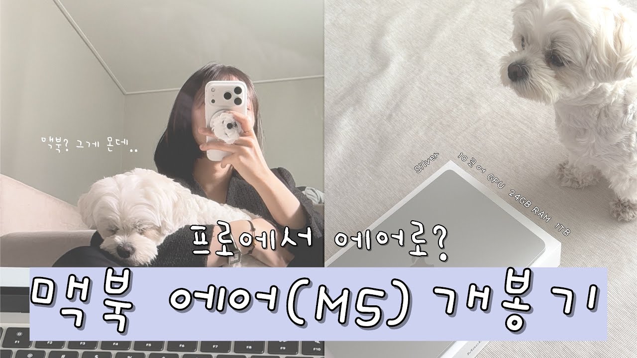 💻 맥북 에어 13인치 M5 언박싱 ❤️ | MacBook Air 13 (M5) Unboxing | 프로에서 에어로