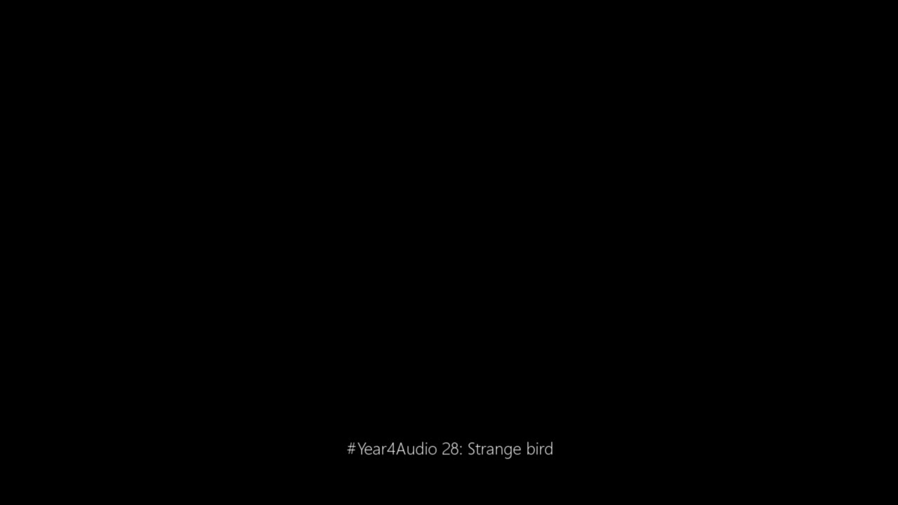 #Year4Audio 28: Strange bird