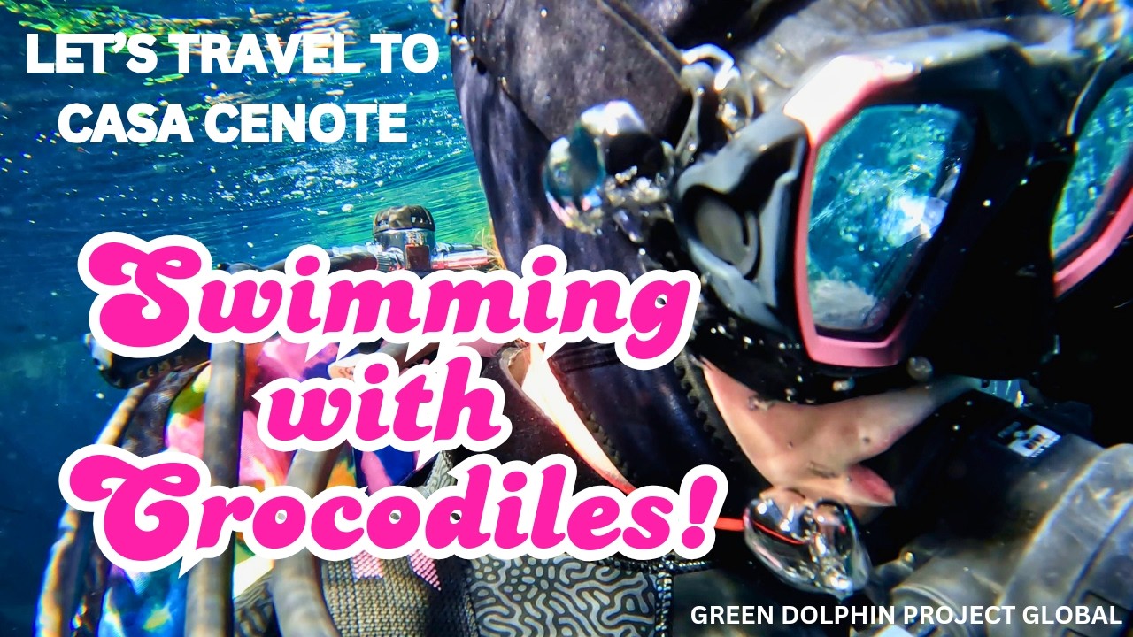 Incredible Cenote Adventure with Panchito the Crocodile!