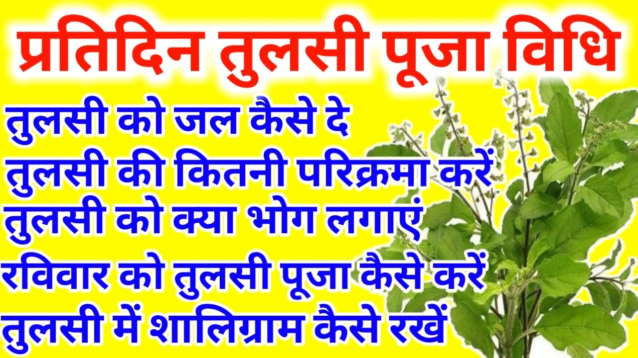 नित्य तुलसी पूजन विधि | तुलसी कब और कहां लगाएं |Tulsi puja mantra,Tulsi puja kaise kare
