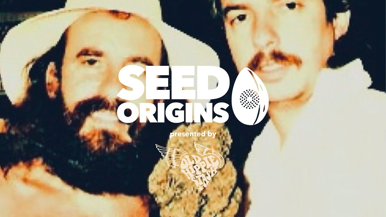 Bellamy Brothers reminisce of what inspired their' "Rattler" Sativa strain!