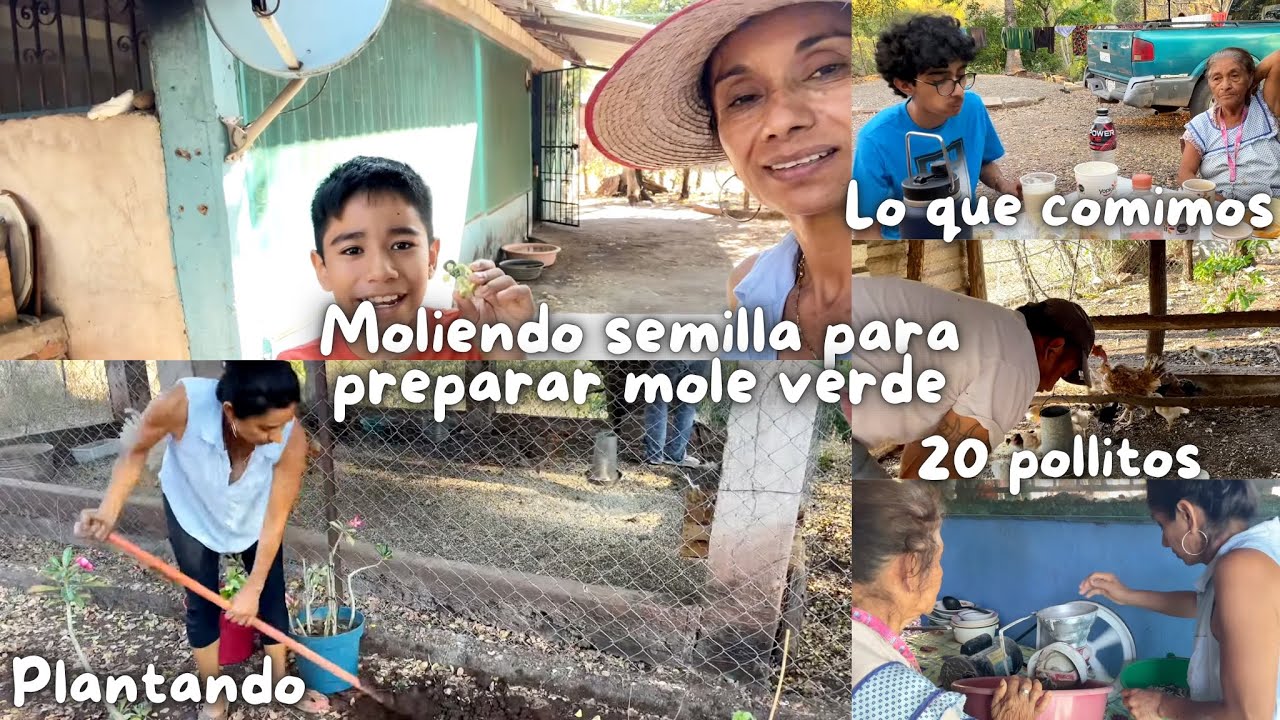 MOLIENDO SEMILLA PARA PREPARAR CHINPA (MOLE VERDE)