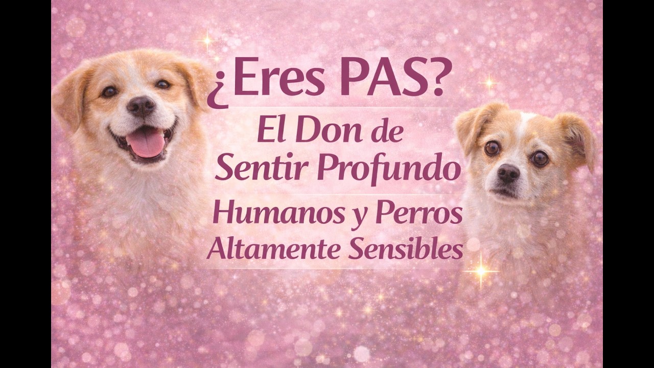 Entrevista con Gaby Portilla -¿Eres PAS? El Don de Ser Altamente Sensible en Humanos y Perros