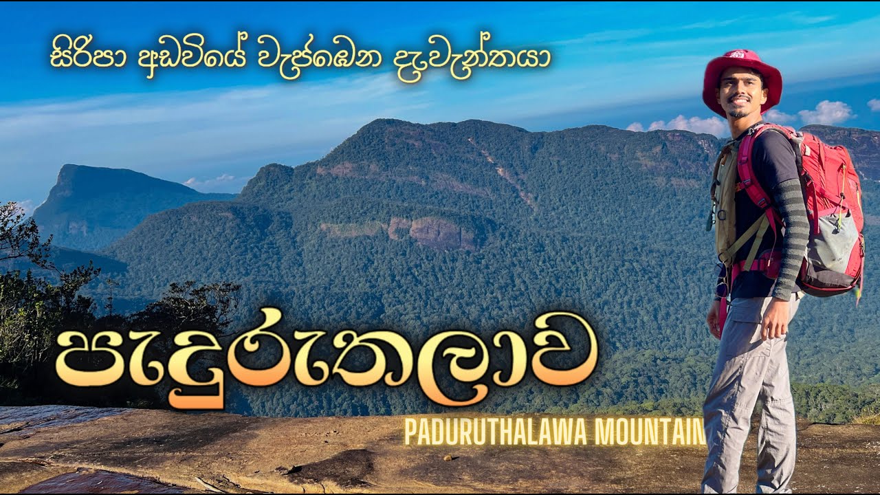 සිරිපා ඉමේ දැවැන්තයා පැදුරුතලාව තරණය | Paduruthalawa | Peak Wilderness Sanctuary | Vlog Drone Video