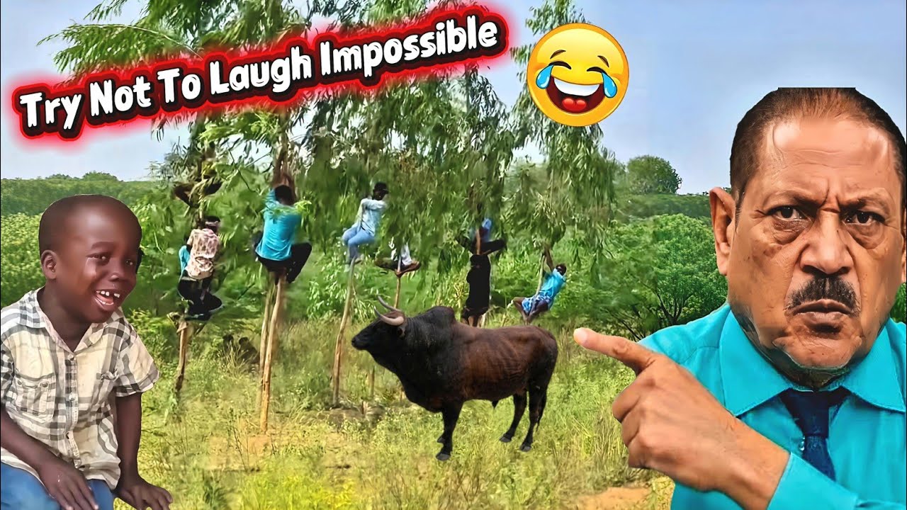 Crazy Funny Videos 2026 😂 Try Not To Laugh Challenge 😅 Top 100 Funniest Video 😅 must watch part 21