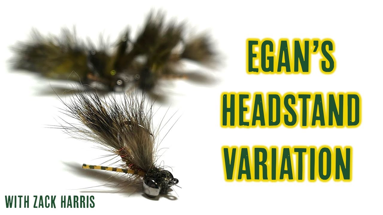 Egan's Headstand Variation - || CARP FLY TYING TUTORIAL || -  With Zack Harris