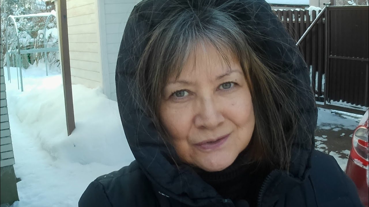 Три дня шёл снег. 1 февраля 2026 г. Подмосковная деревня.