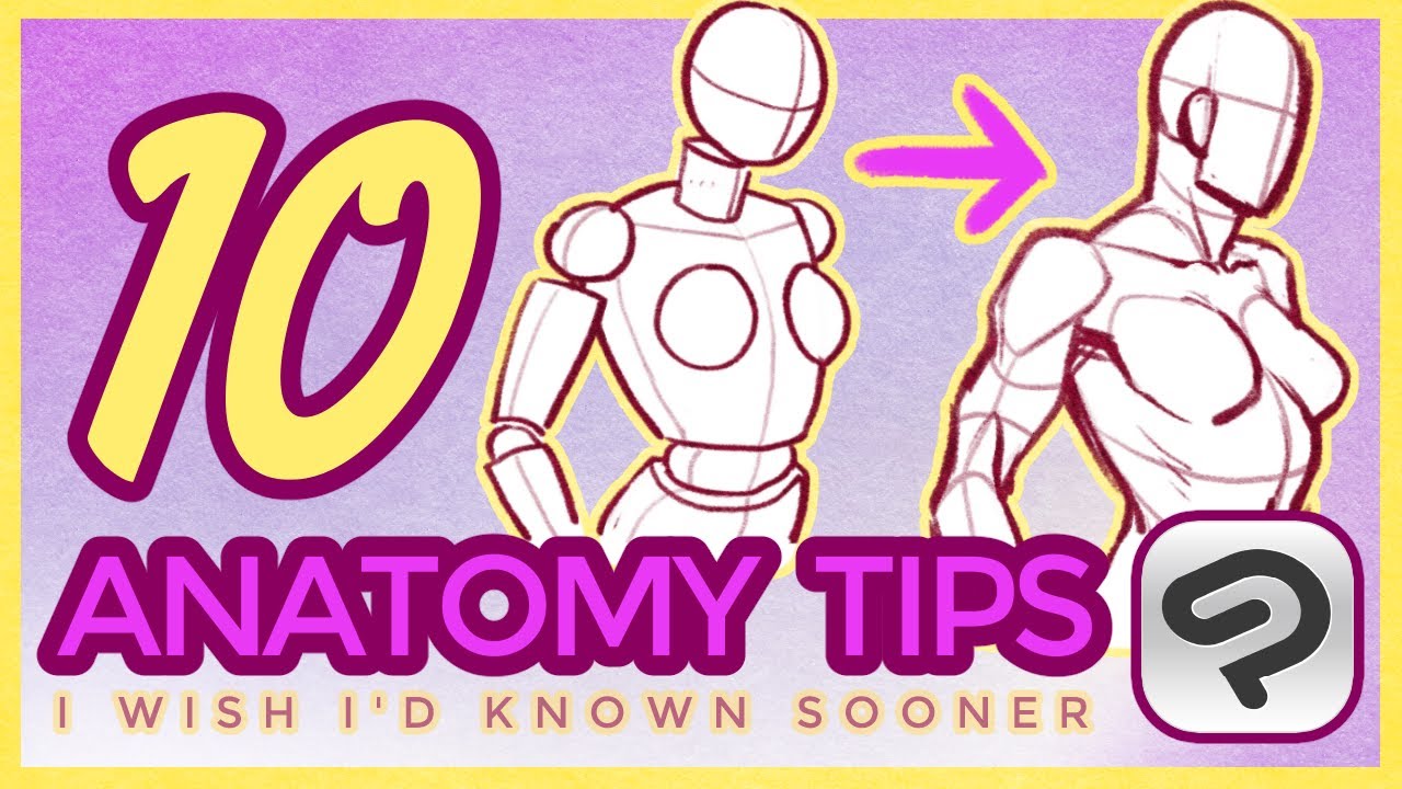 How to LEARN ANATOMY