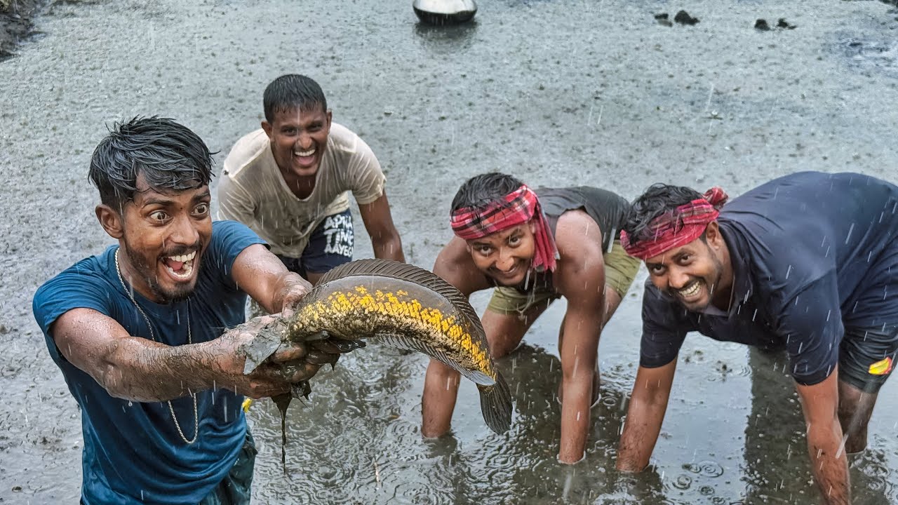 মুষল ধরা বৃষ্টির মধ্যে,চাষের মাঠ থেকে জলাশয় ছেচে,খুব মজা করে মাছ ধরলাম my village sundarban!!!