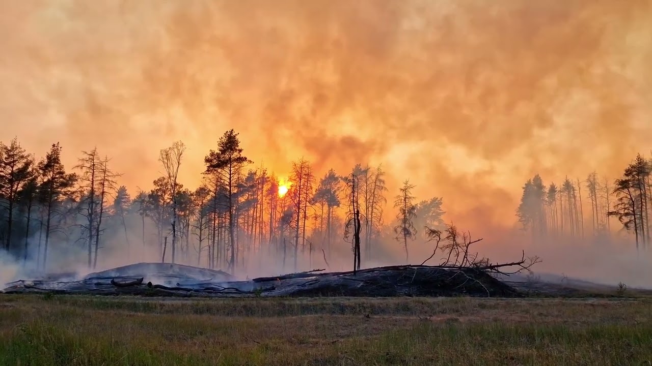 Spektakuläre Bilder - Waldbrand auf Truppenübungsplatz in Lübtheen. Apokalyptische Anblicke!