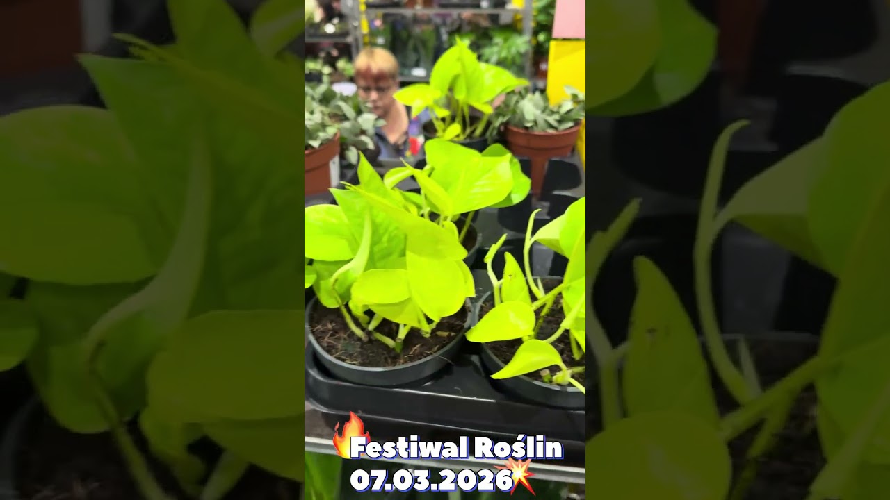 Byłem na Festiwalu Roślin w Poznaniu. Zabrakło mi jakiegoś &bdquo;wow&rdquo; (07.03.2026)