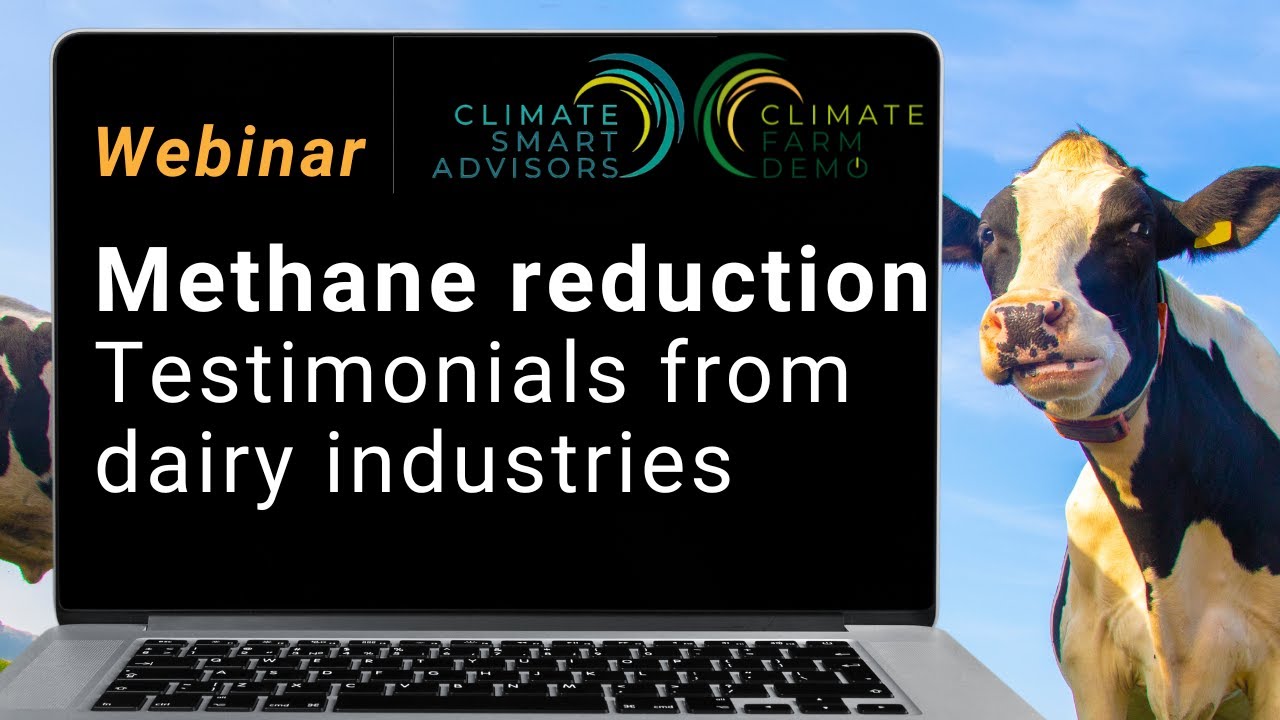Feed additives for methane reduction -Testimonials from dairy industries