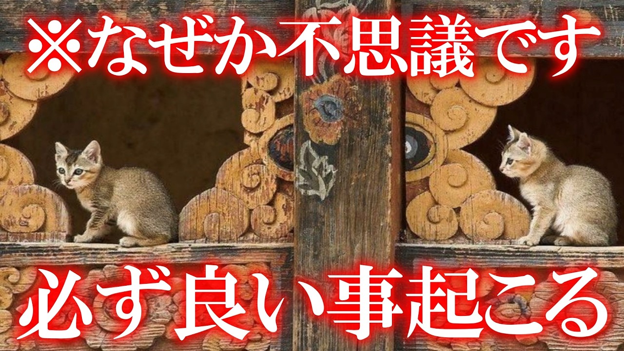 【１分見るだけ】あなたにとても嬉しい事が起こります もし逃したら２度とありません 残念ながら来ない人には表示すらされません この絶好のタイミングで再生してください 奇跡を起こす開運動画です 金運 幸運