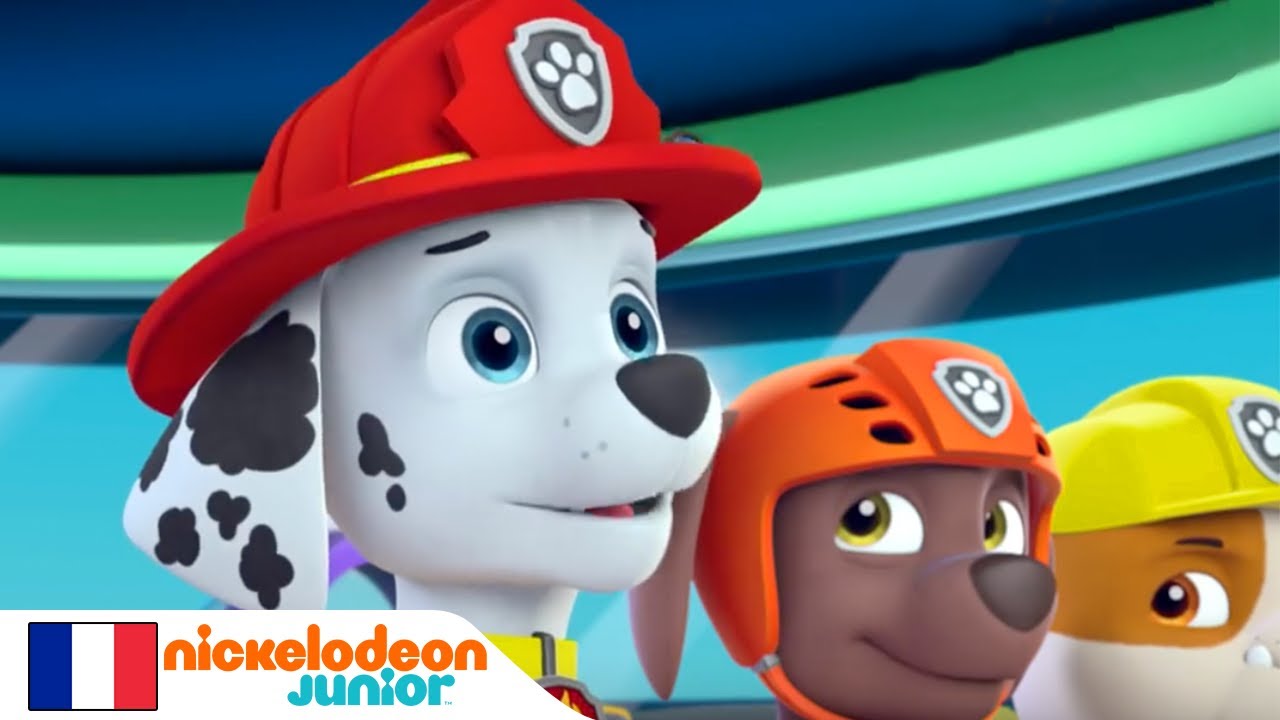 Paw Patrol : la Pat'Patrouille | Erreur de Livraison | NICKELODEON JUNIOR