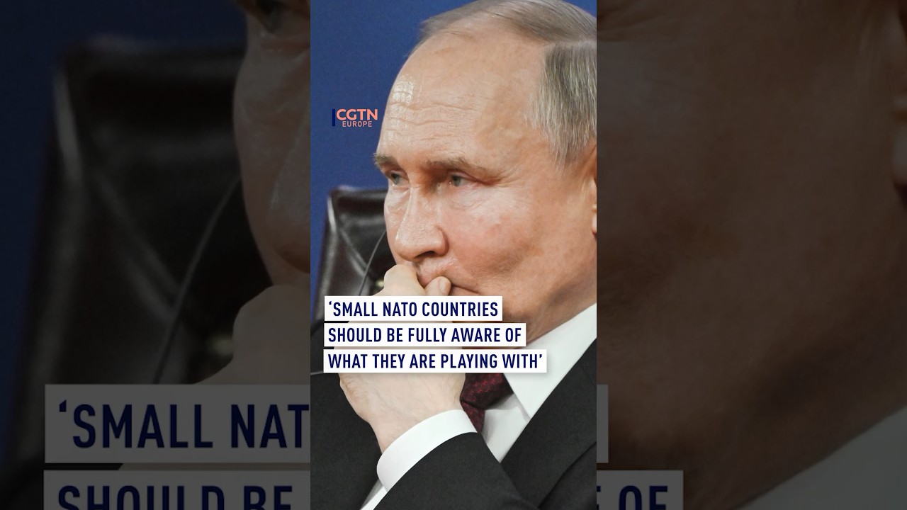 Putin: &lsquo;NATO countries should be fully aware of what they are playing with&rsquo;