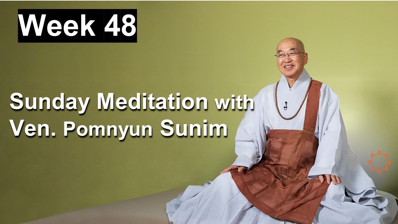 Sunday Meditation with Ven. Pomnyun Sunim [Week 48]