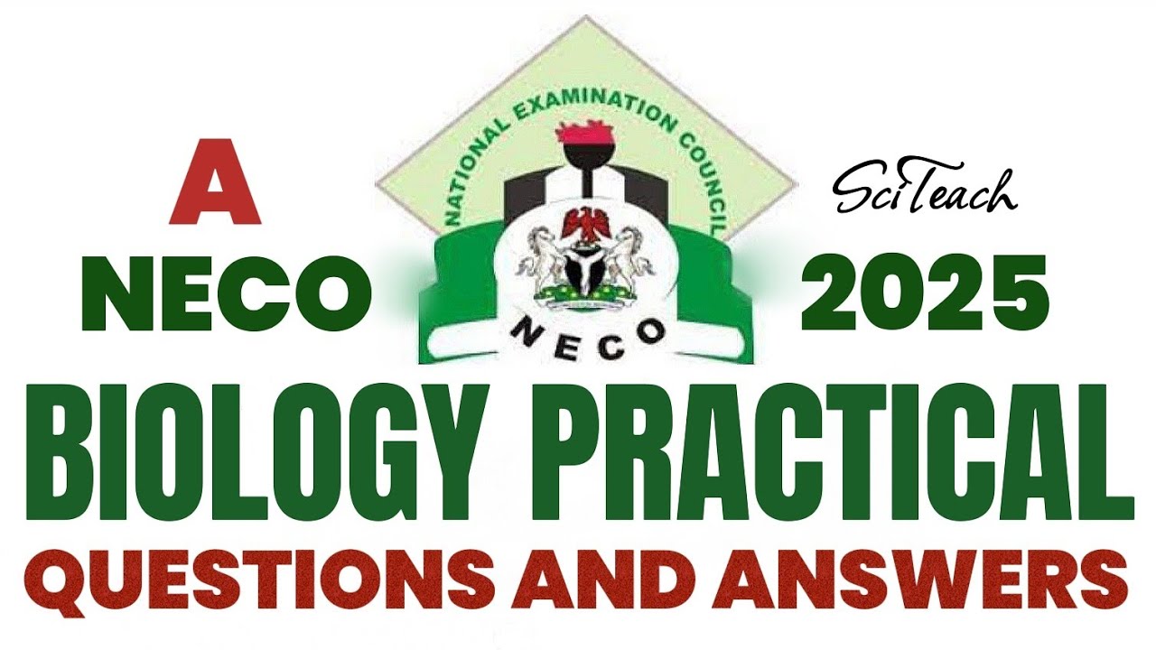 NECO 2025 Biology Practical A